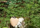 Hike to Thoma
